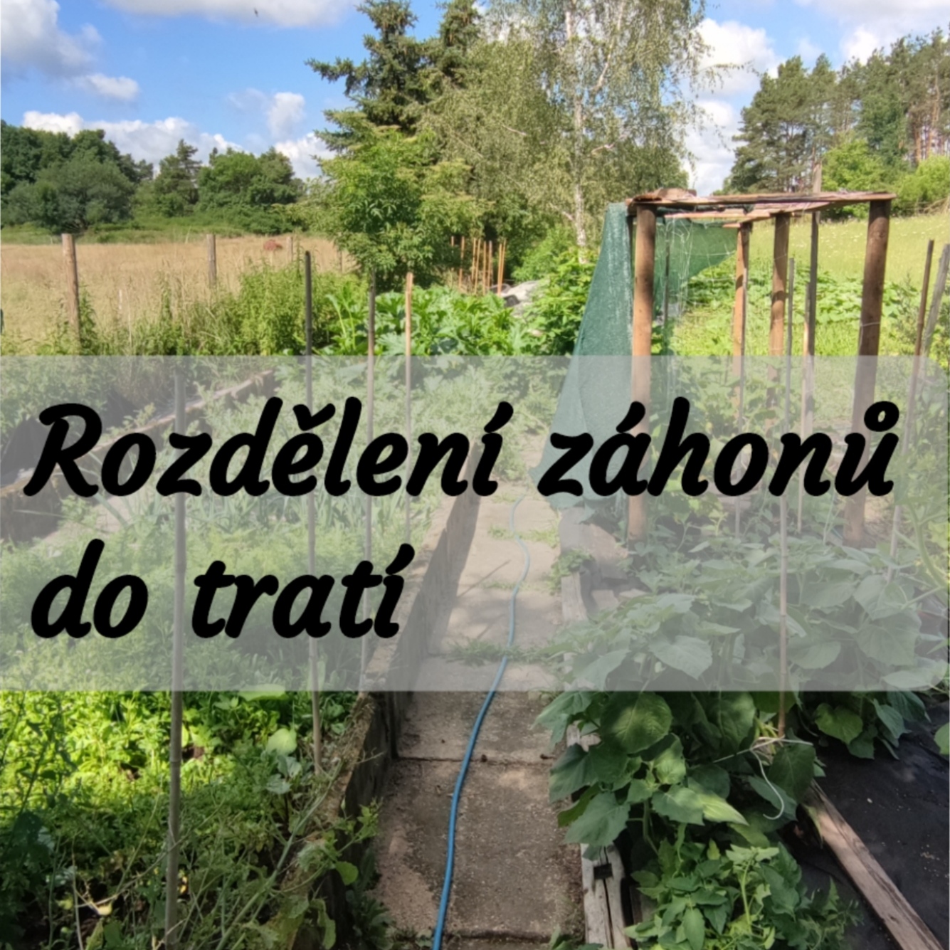 Zahradní tipy